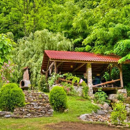 Casuta Bucuriei Villa Hunedoara Exterior photo