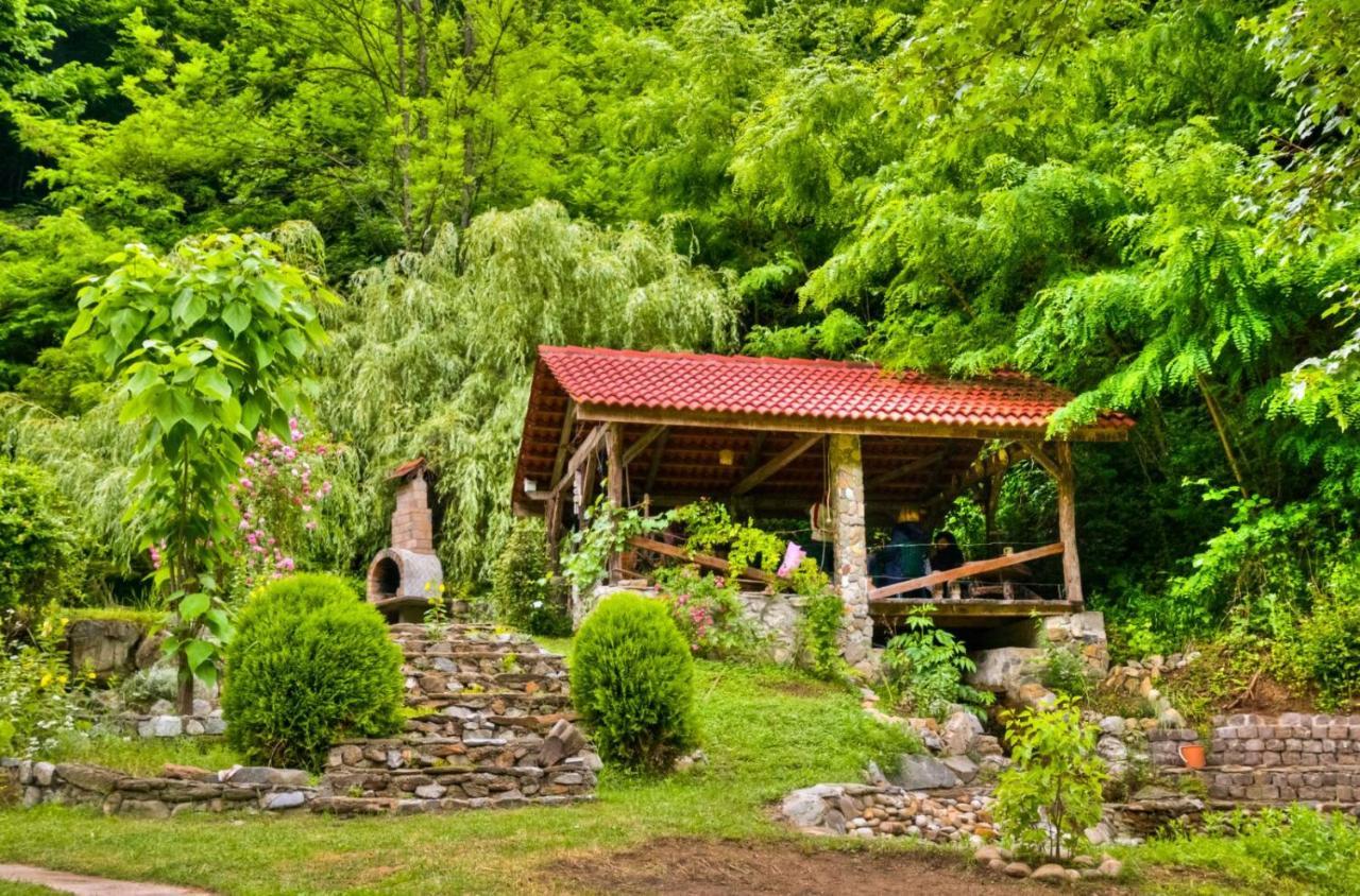 Casuta Bucuriei Villa Hunedoara Exterior photo