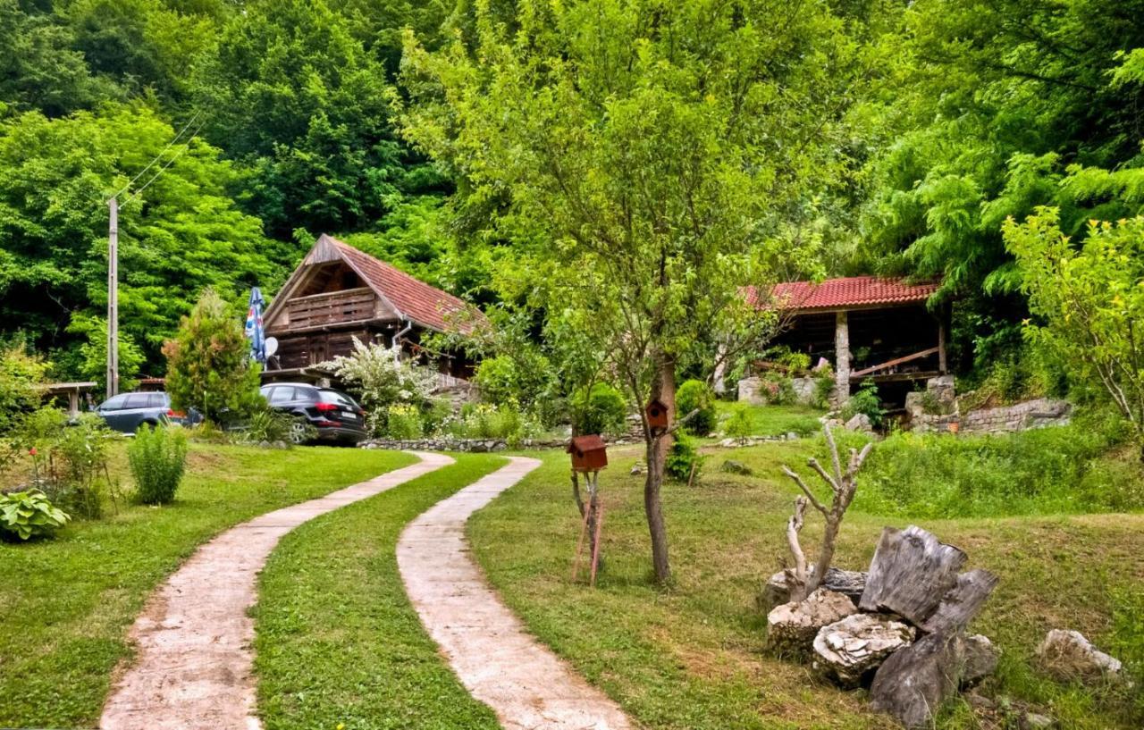 Casuta Bucuriei Villa Hunedoara Exterior photo