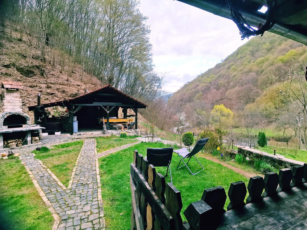 Casuta Bucuriei Villa Hunedoara Exterior photo